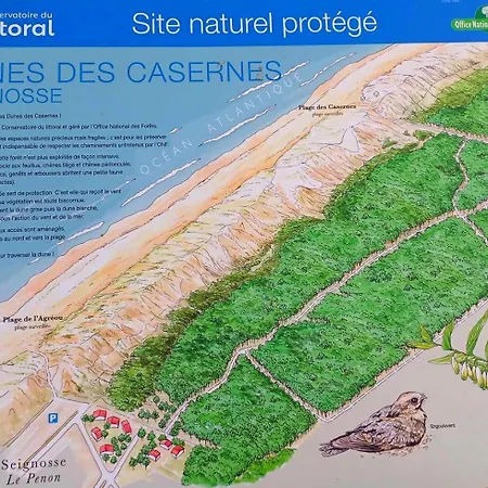 Mobil A Dans Les Landes Pres De La