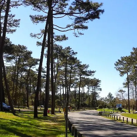 Mobil A Dans Les Landes Pres De La Campsite *