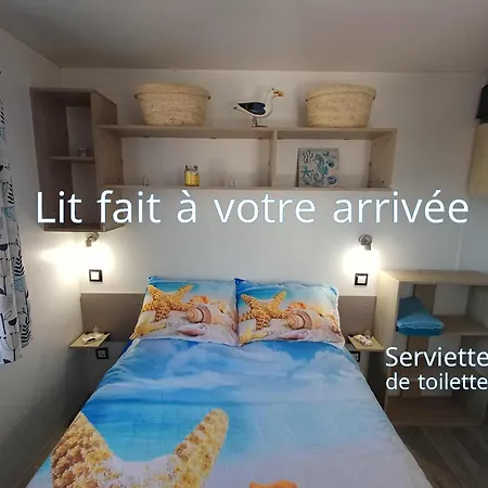 Mobil-home Climatise - Terrasse Et Portillon - Proche Ocean Campsite *