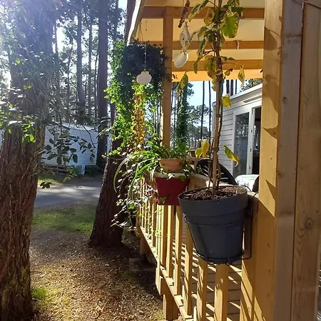 Mobil-home Climatise - Terrasse Et Portillon - Proche Ocean * Seignosse