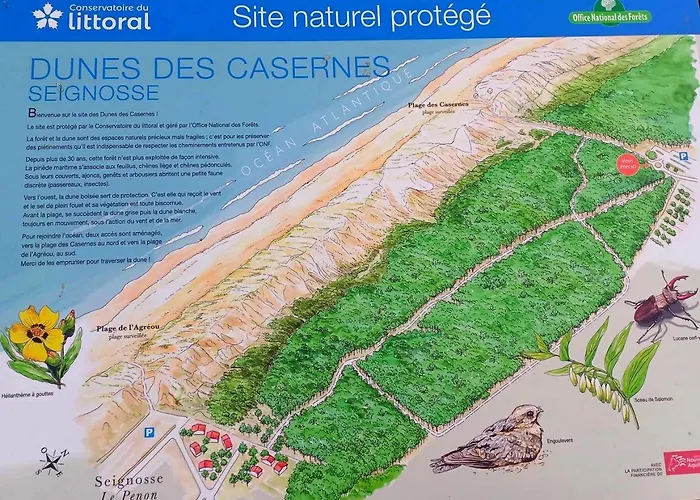 Mobil-Home Camping 4 Etoiles Plage A 800M Terrasse Vegetalisee Piscine